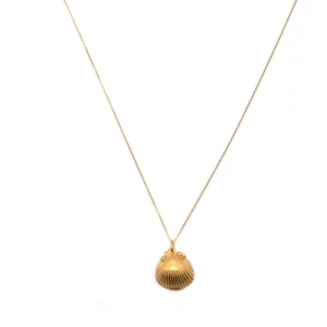Solid Gold Seashell Necklace