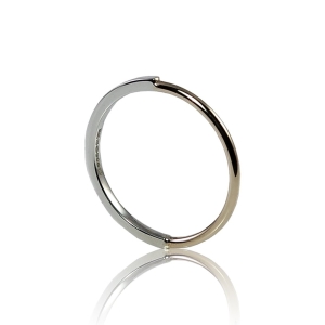 Silver and Gold Contrast Ring