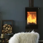 RAIS Nexo 120 Wood Burning Stove