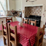 Just Dotty Cherry Wipe Clean Oilcloth tablecloth