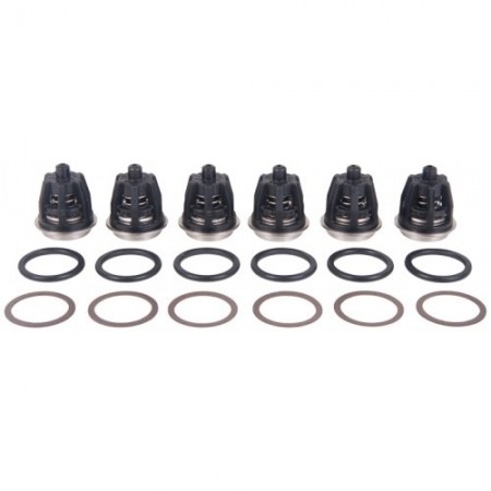 Interpump Kit 201 Valves (6 Pieces) - Lindsay Engineering