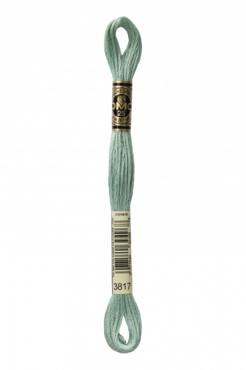DMC Stranded Cotton Embroidery Thread 3817