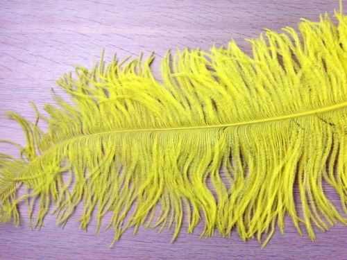 Small Chick Feathers Yellow