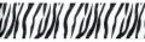 Berwick Offray Wild Animal Ribbon Animal Print 4