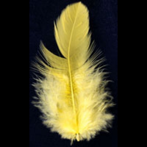 Trimits Hen Craft Feathers (Value Pack of 5) Yellow