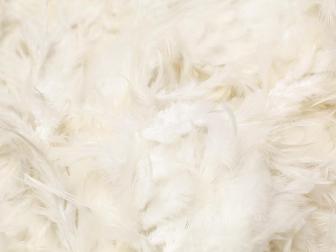 Minerva Core Range Plume Feather Fabric Ivory