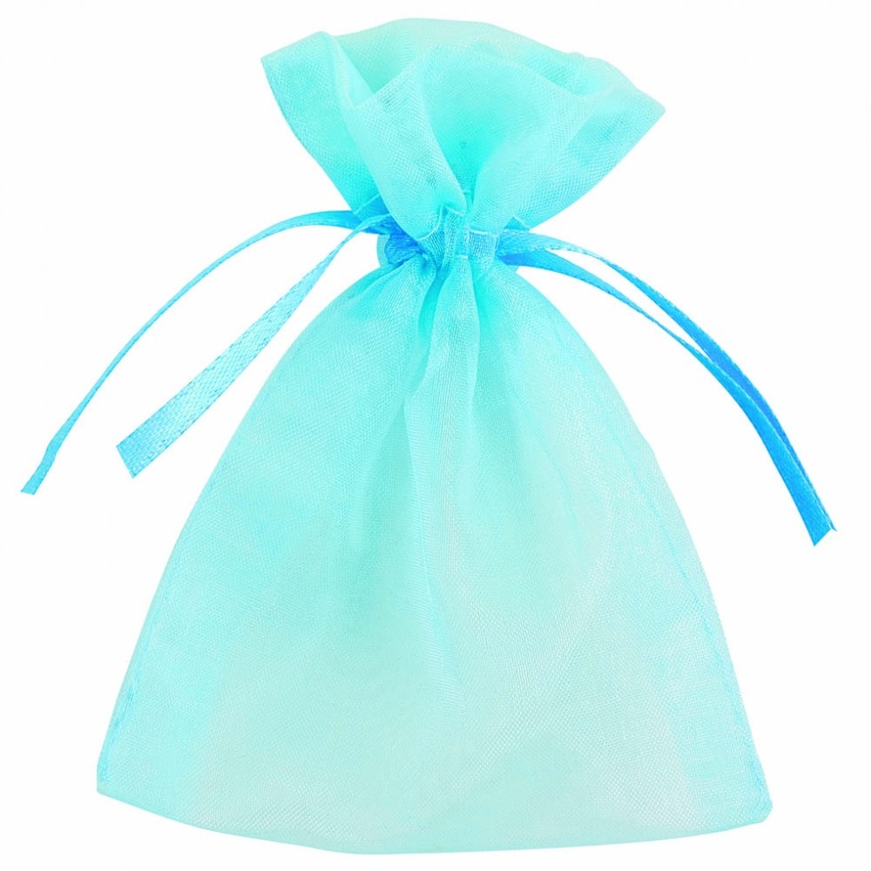 Club Green Organza Bag Pouches Blue