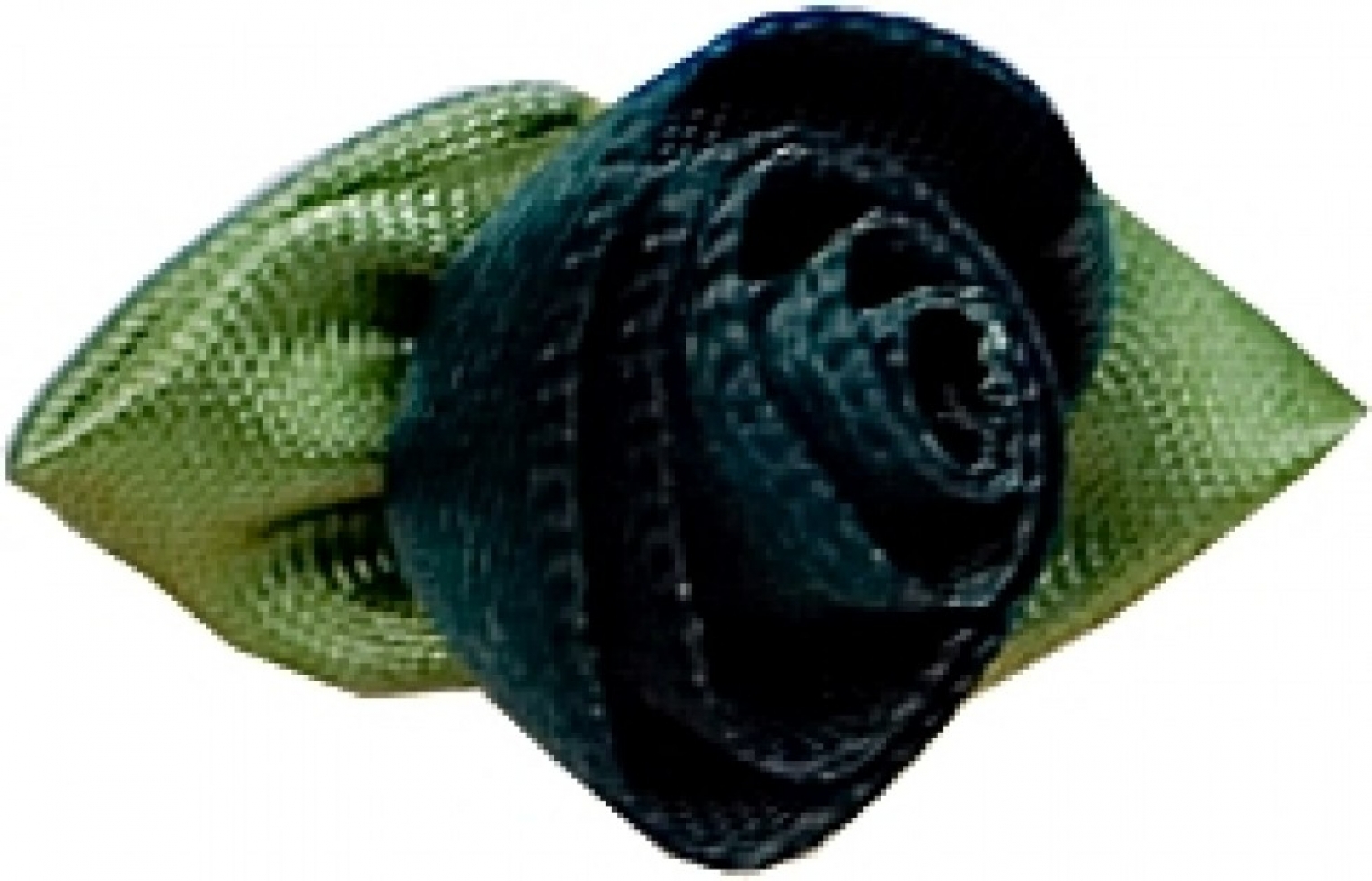Large Ribbon Roses Bottle Green