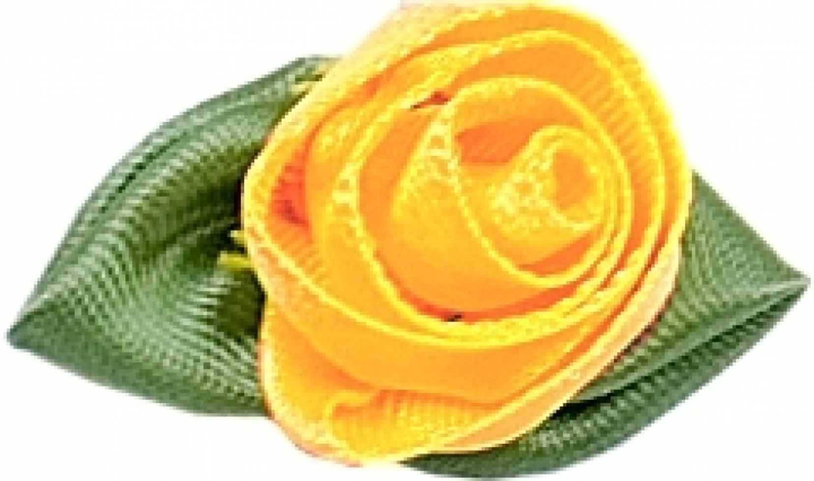 Large Ribbon Roses Buttercup
