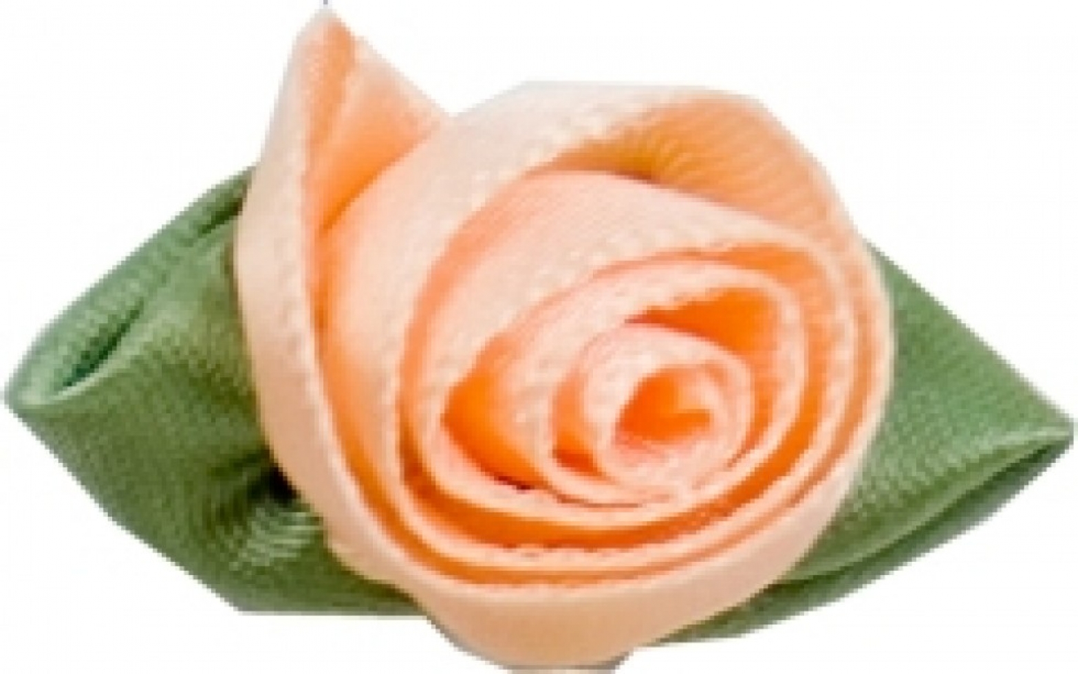 Large Ribbon Roses Light Peach