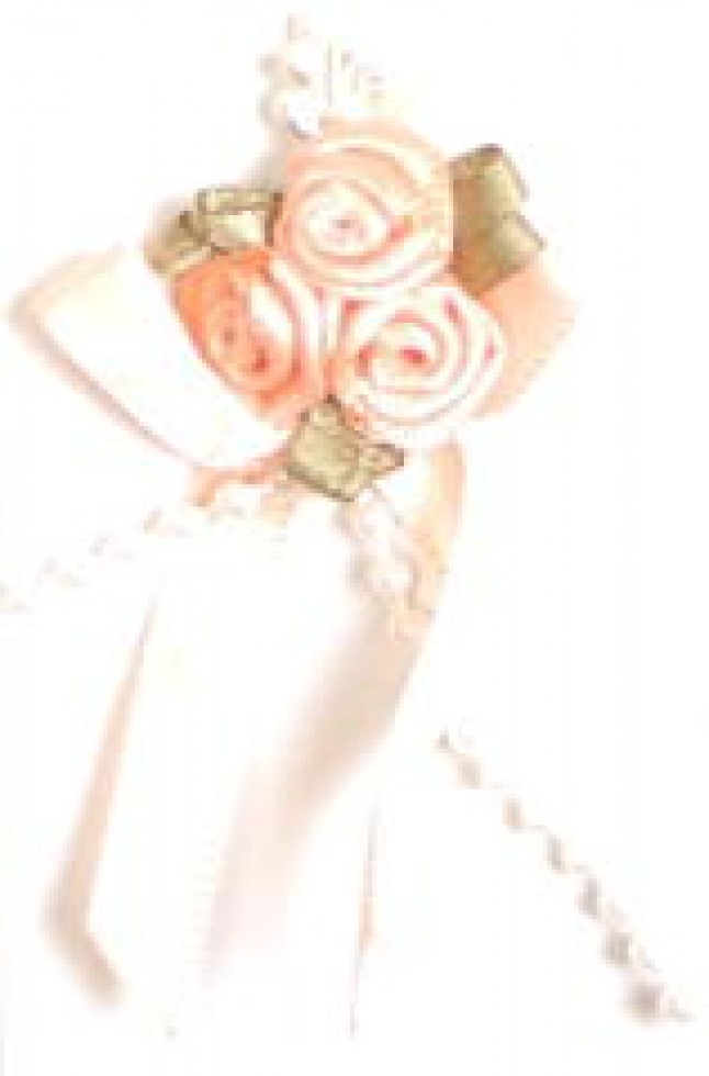 Rose on Ribbon Bow Light Peach