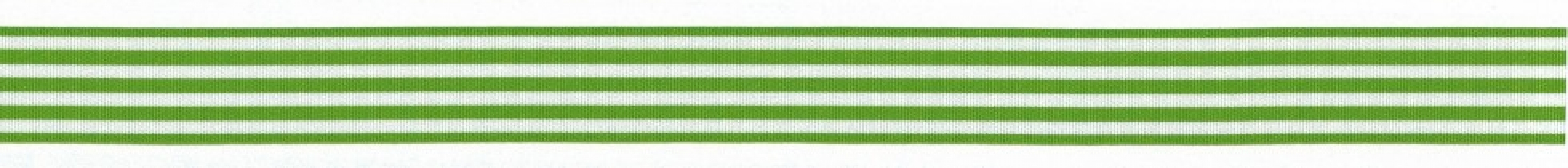 Berisfords Stripes Ribbon 130 Meadow