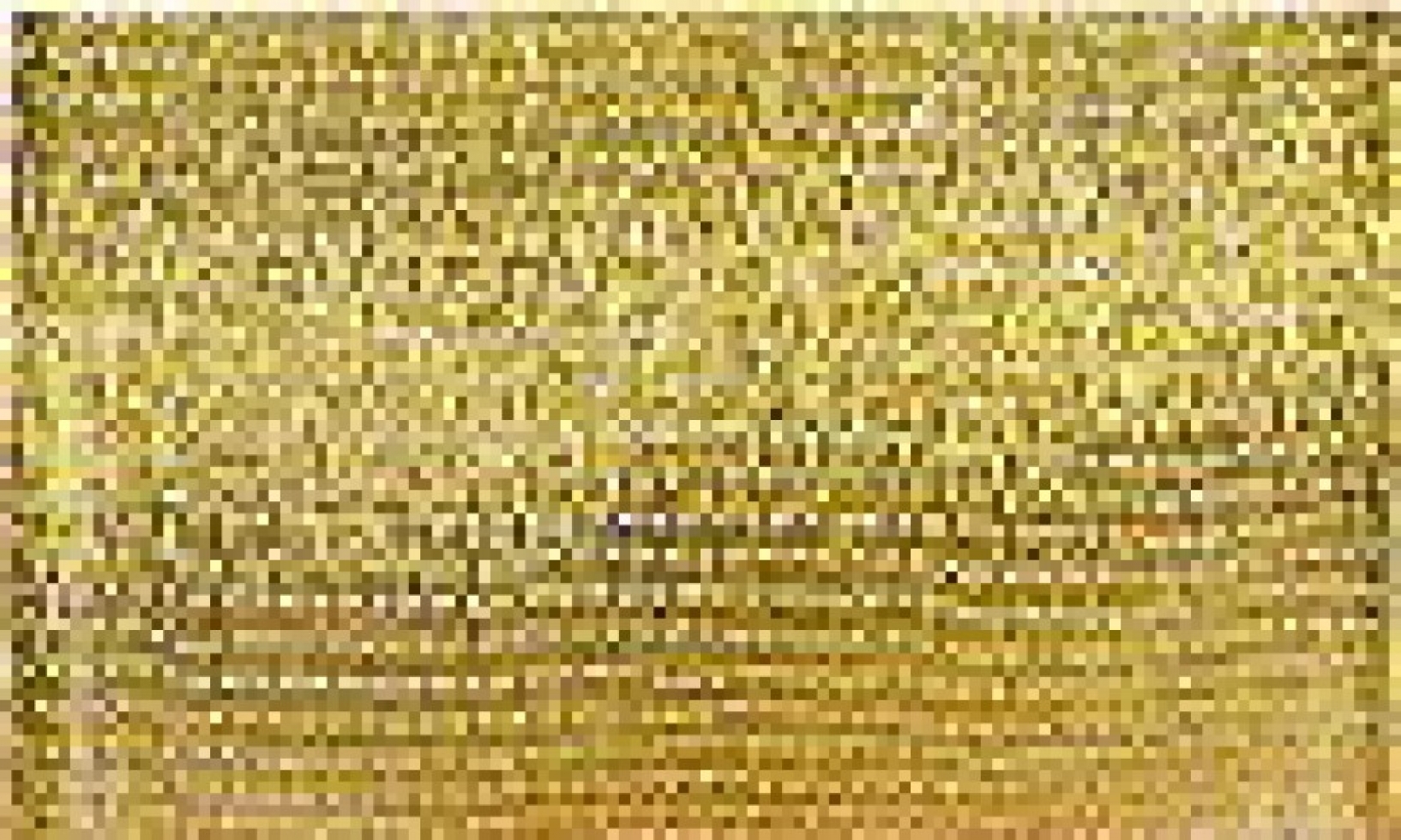 Berwick Offray Firefly Wire Edge Ribbon Gold