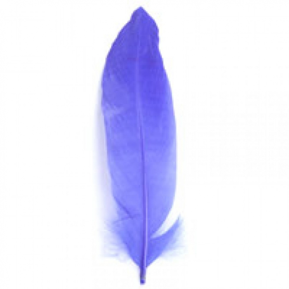 Trimits Goose Craft Feathers Purple
