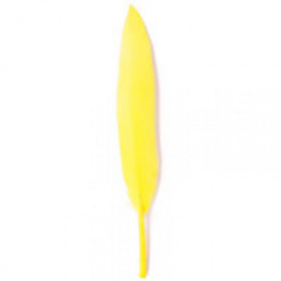 Trimits Duck Craft Feathers Yellow