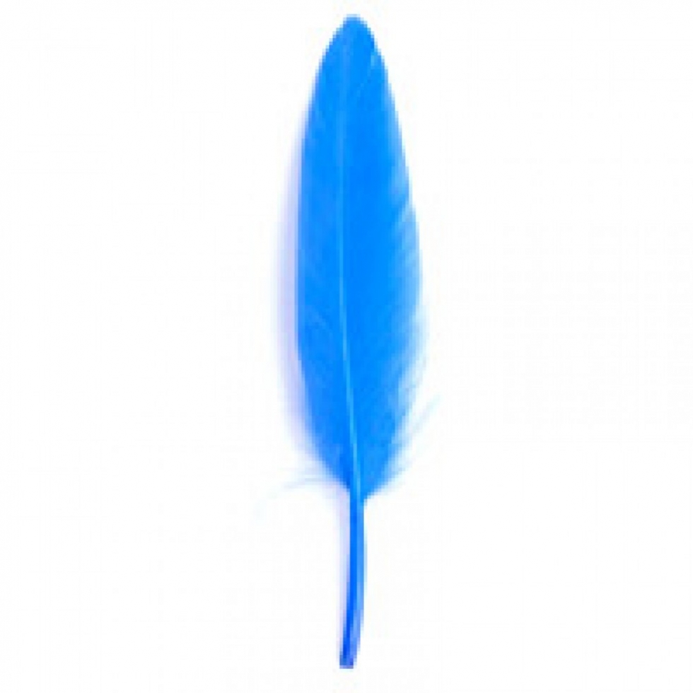 Trimits Duck Craft Feathers Royal Blue