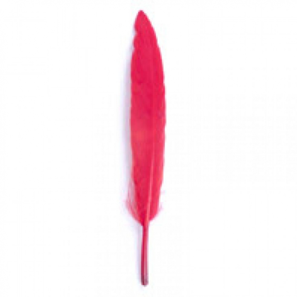 Trimits Duck Craft Feathers Red