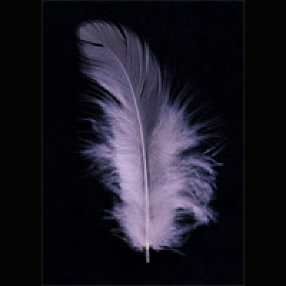 Trimits Hen Craft Feathers Pink