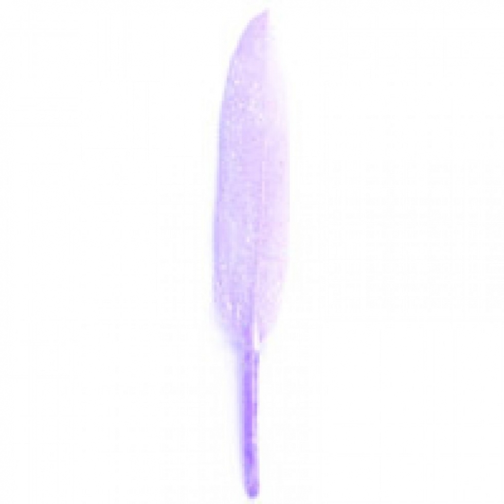 Trimits Feathers With Glitter Lilac