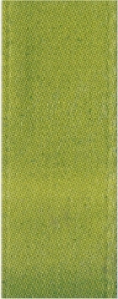 Berwick Offray Single Face Satin Ribbon Kiwi