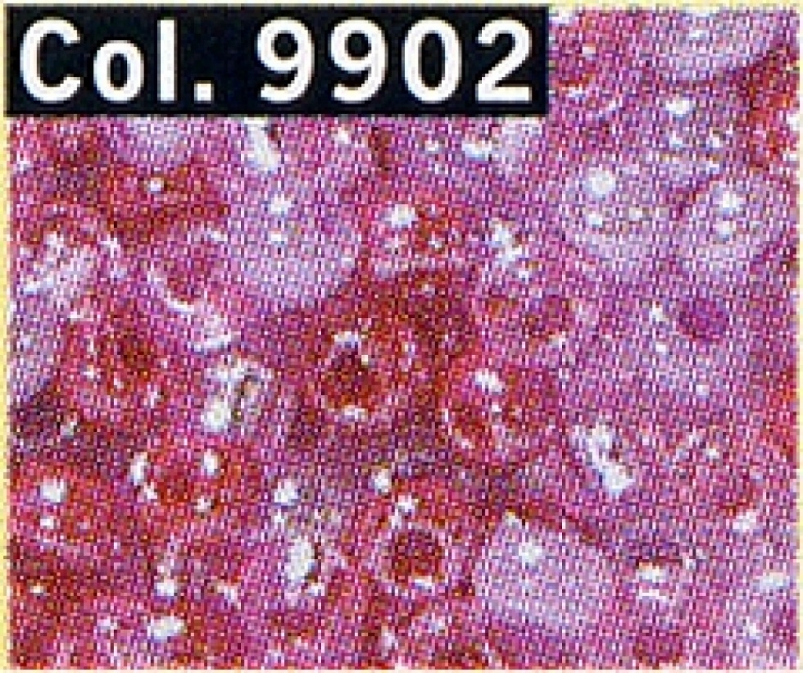 Gutermann Glass Seed Beads 9902