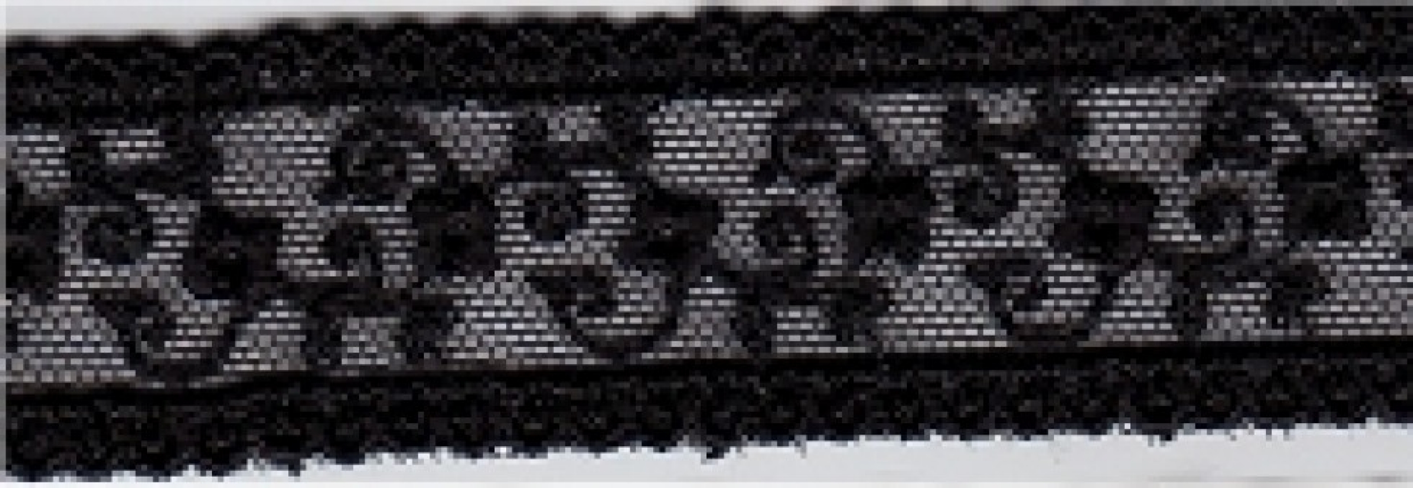 Essential Trimmings Scalloped Tulle Lace Trim Black