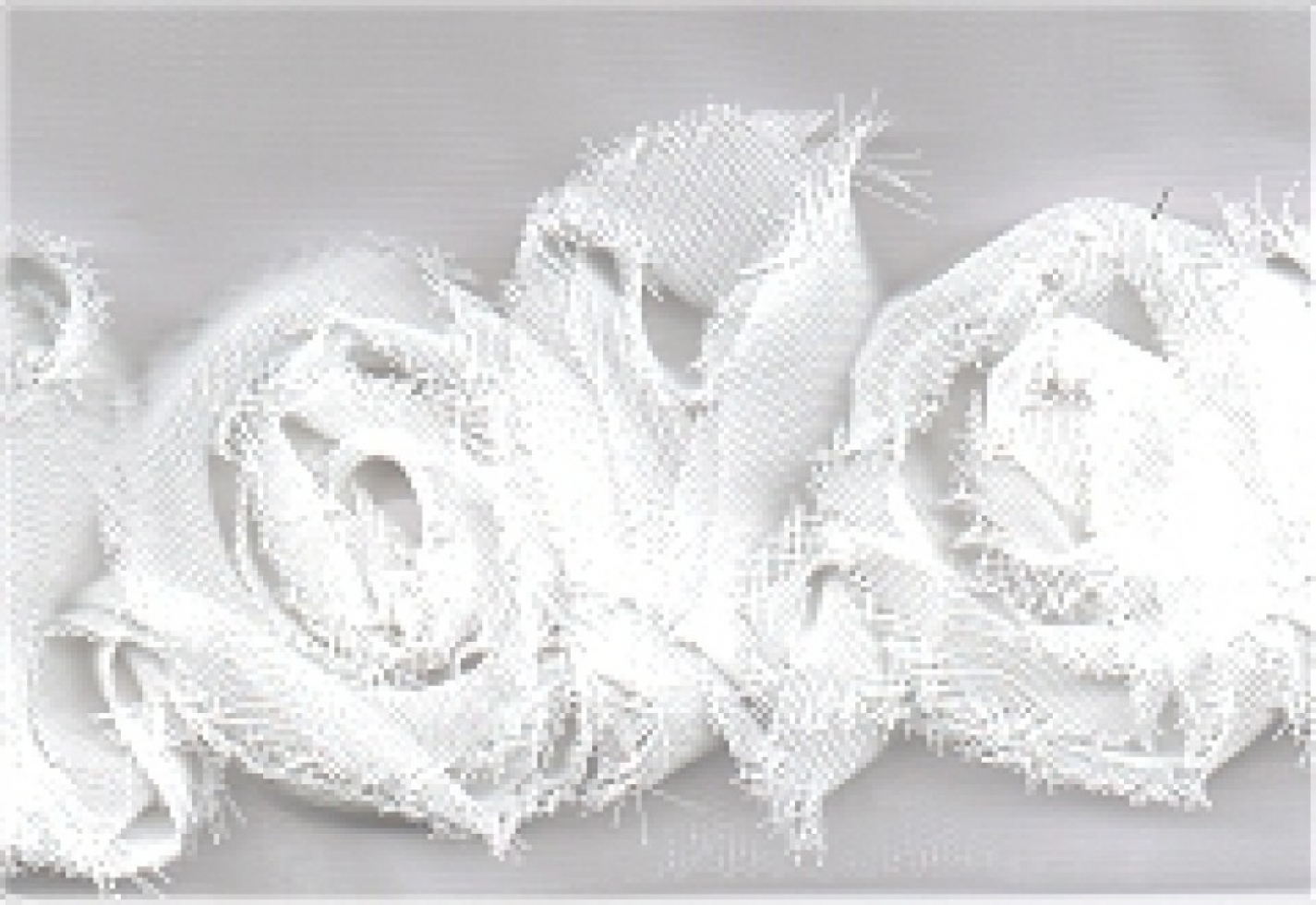 Chiffon Flowers Trim White