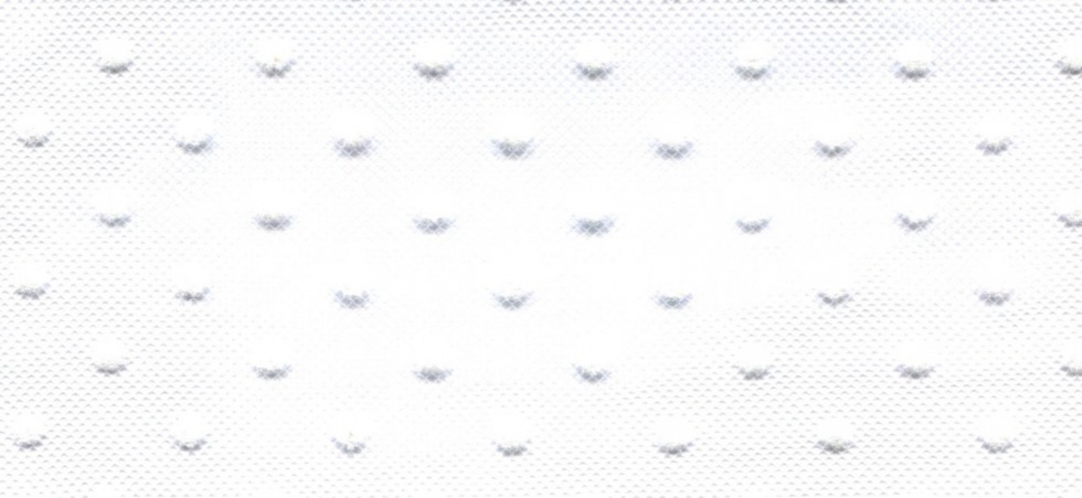 Spotty Tulle Net Ribbon White