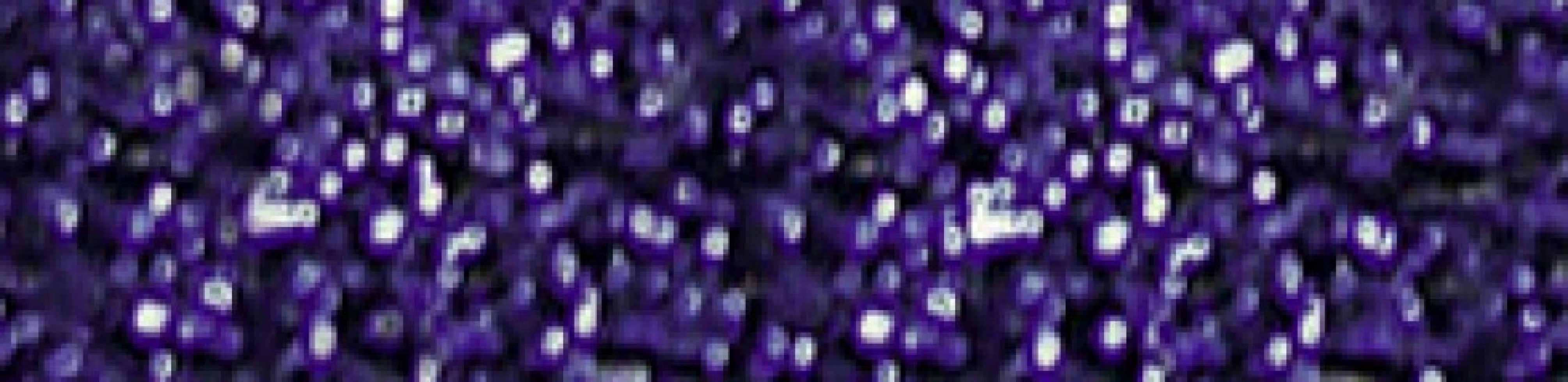 Madeira Nora Metallic Thread Col 338