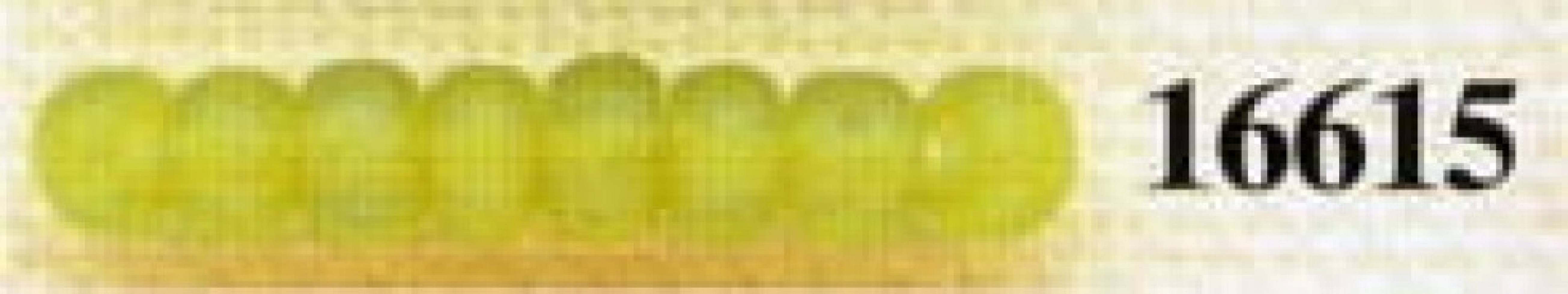 Mill Hill Glass Beads 16615 Frosted Citrus