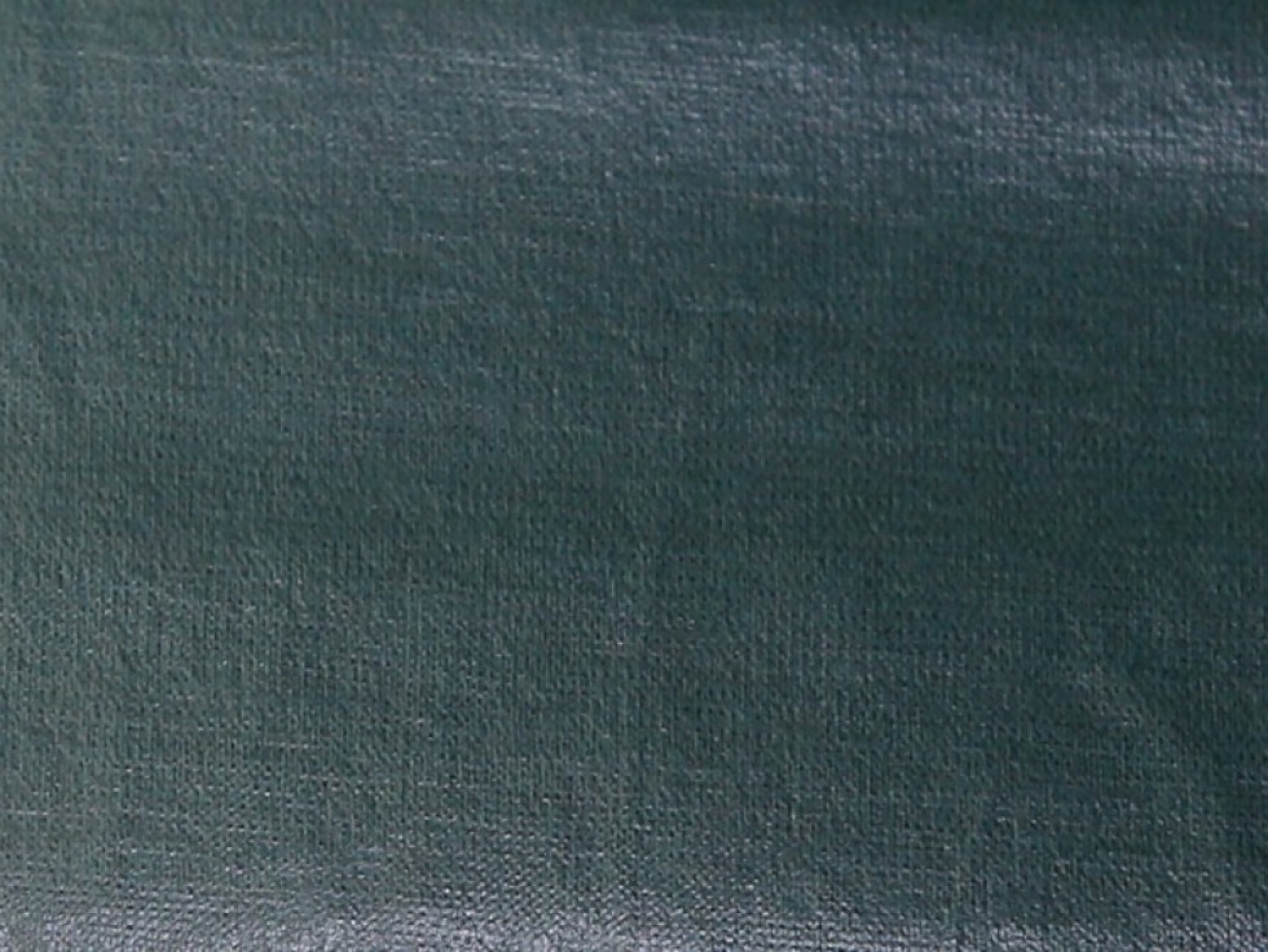 Stof France PUL Coated Jersey Stretch Knit Fabric Petrol