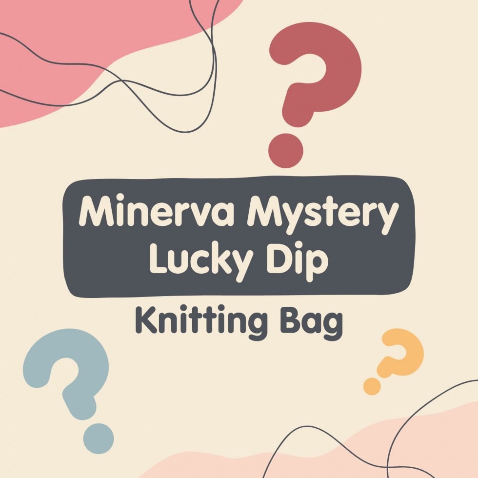 Knitting Mystery Bag