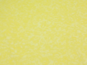 Pastel Lemon Chiffon Yellow Vintage Panties 100% Nylon!