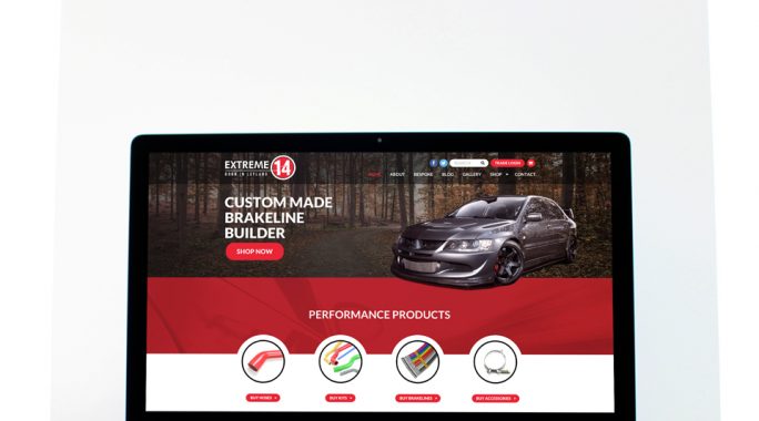 Website development