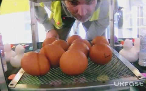 UKFast chicks featured